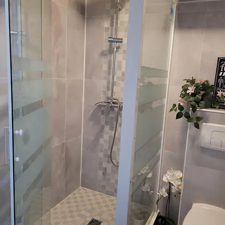 Apartment Cocooning House 212 Cosy Sunshine Aeroport Paris Roissy Cdg Et Parc Asterix